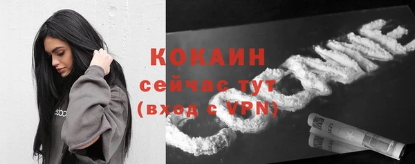 прущие грибы Зеленокумск