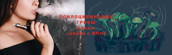 прущие грибы Зеленодольск