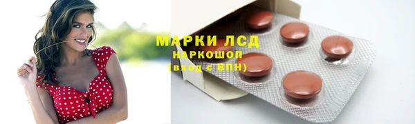 прущие грибы Зеленодольск