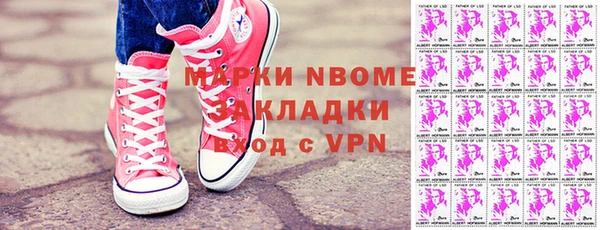 прущие грибы Зеленокумск