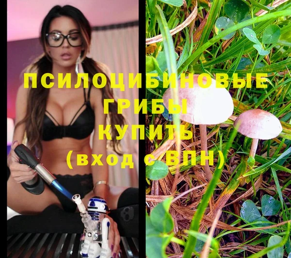 прущие грибы Зеленодольск