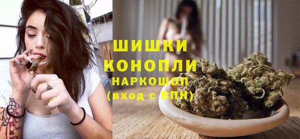 прущие грибы Зеленодольск
