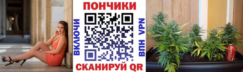 сколько стоит  гидра рабочий сайт  Бошки марихуана ГИДРОПОН  Тетюши 